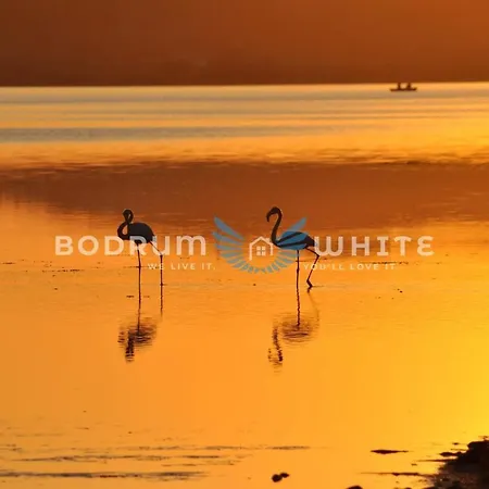 Bodrum Flamingo Villas Bogazici